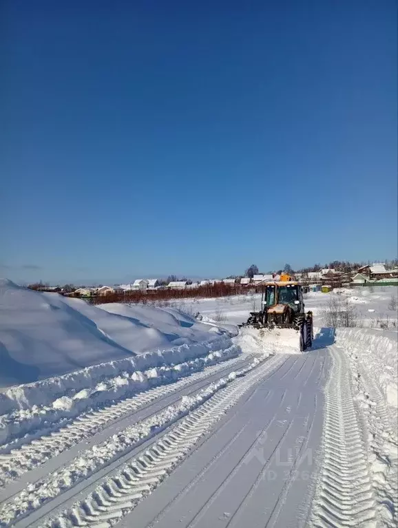 Участок в Московская область, Дмитровский муниципальный округ, д. ... - Фото 2