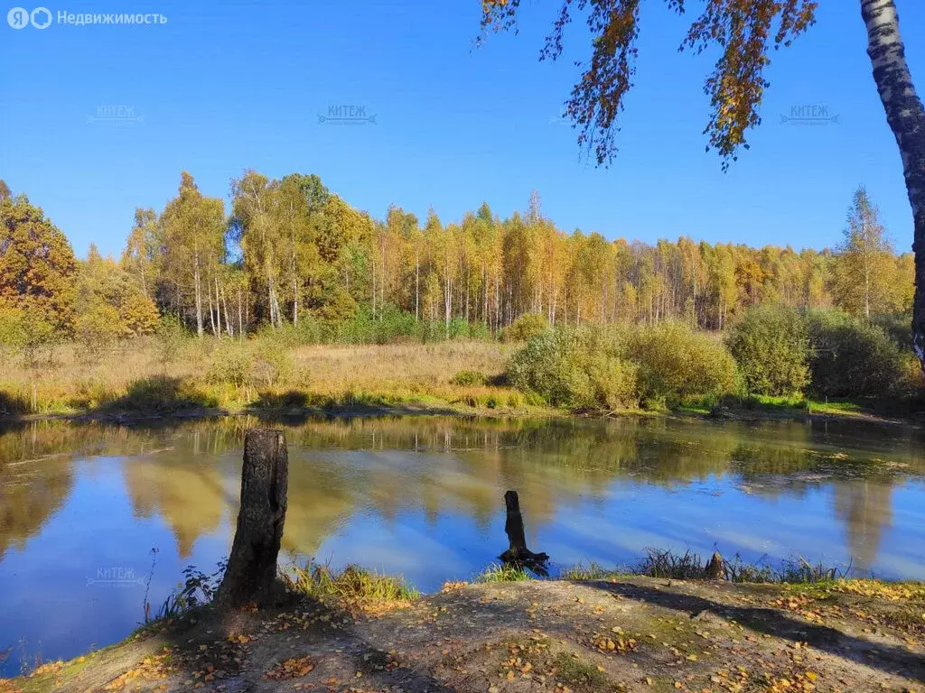 Дом в Калуга, улица Непокорённых Ленинградцев, 43/6 (100 м) - Фото 0