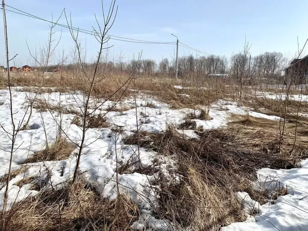 Участок в Мордовия, Саранск городской округ, Николаевка рп  (15.0 ... - Фото 1