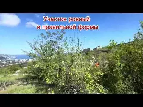 Участок 13 сот. (ИЖС) - Фото 1