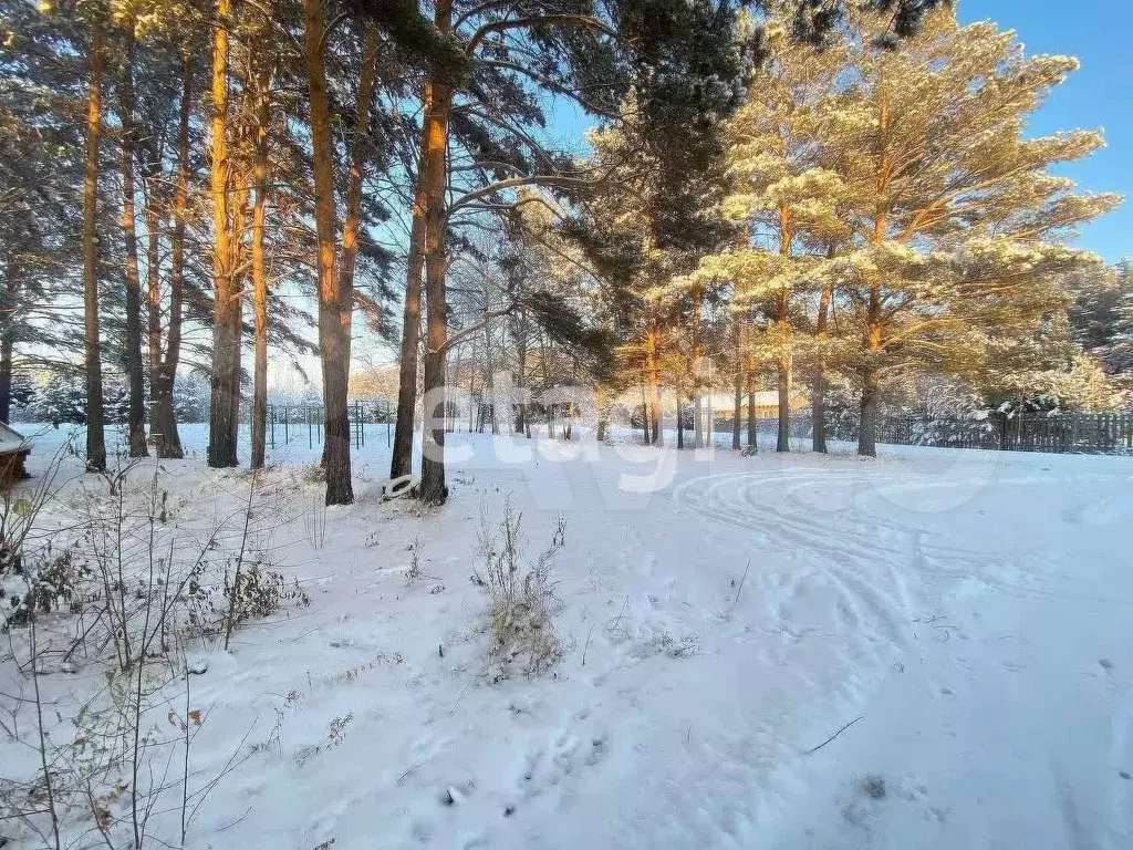 Участок 18,5 сот. (СНТ, ДНП) - Фото 0