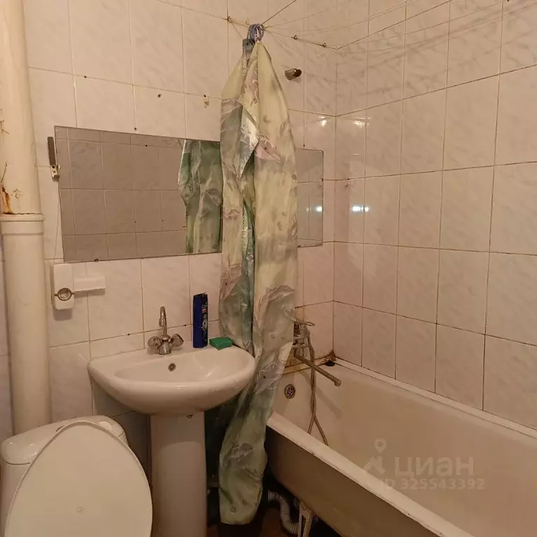 2-к кв. Алтайский край, Барнаул Северо-Западная ул., 179 (43.0 м) - Фото 2