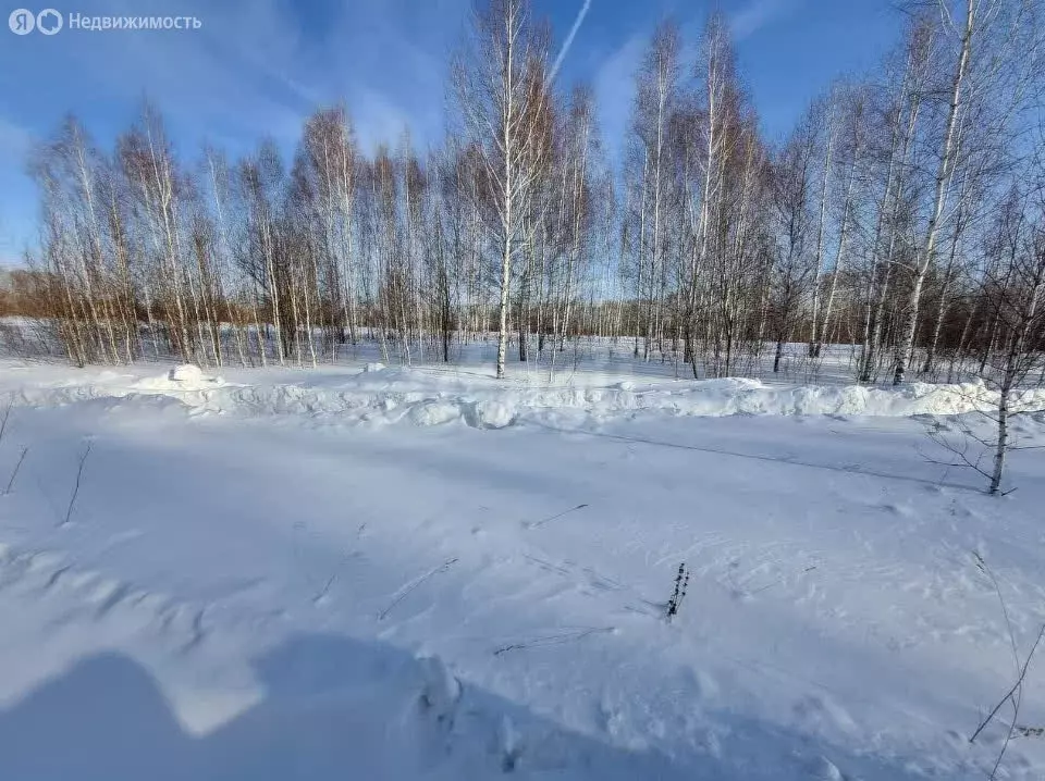Участок в Новосибирский район, Станционный сельсовет, станция Мочище ... - Фото 1