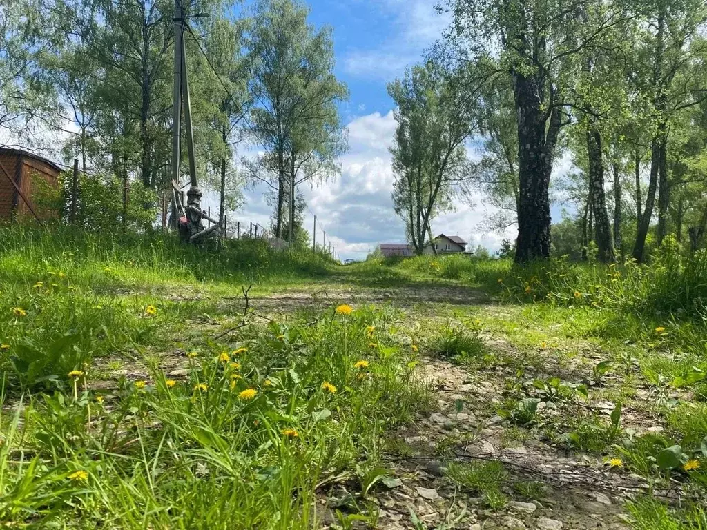 Участок в Тульская область, Заокский район, Демидовское с/пос, ... - Фото 2