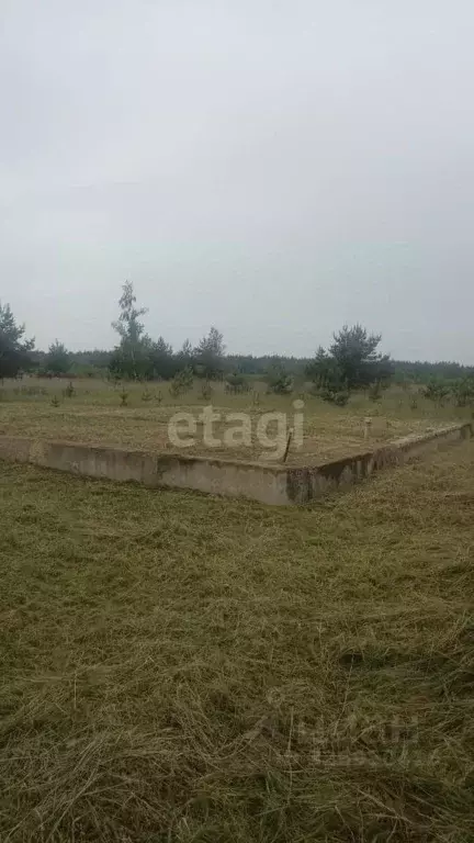 Участок в Липецкая область, Липецк ул. Янтарная (12.0 сот.) - Фото 1