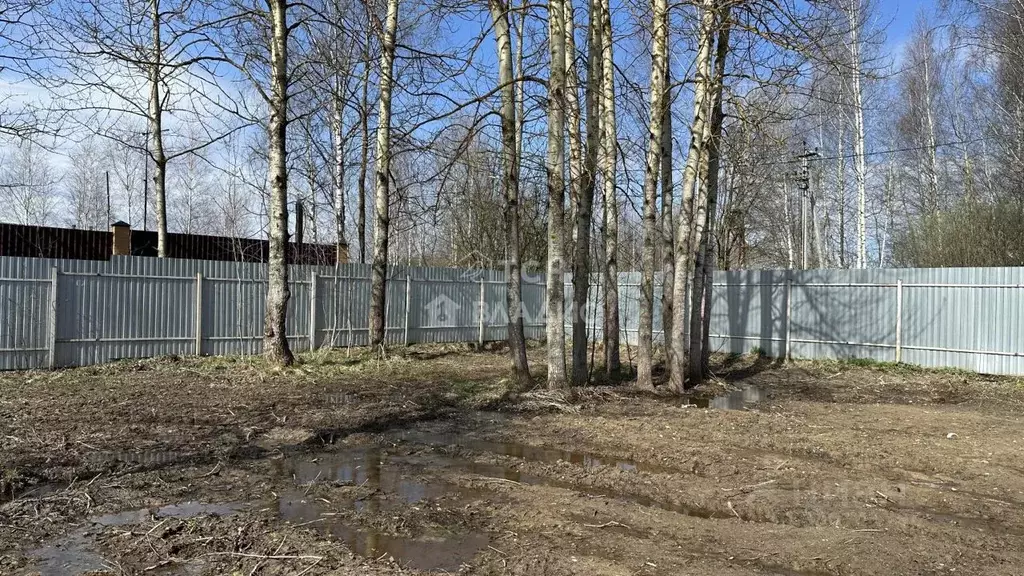 Участок в Московская область, Богородский городской округ, д. Пашуково ... - Фото 2