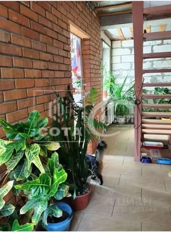 Дом в Воронежская область, Воронеж ул. Радостная, 8 (80 м) - Фото 1