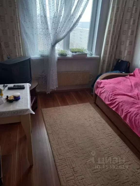 Комната Свердловская область, Екатеринбург ул. Чкалова, 143 - Фото 1