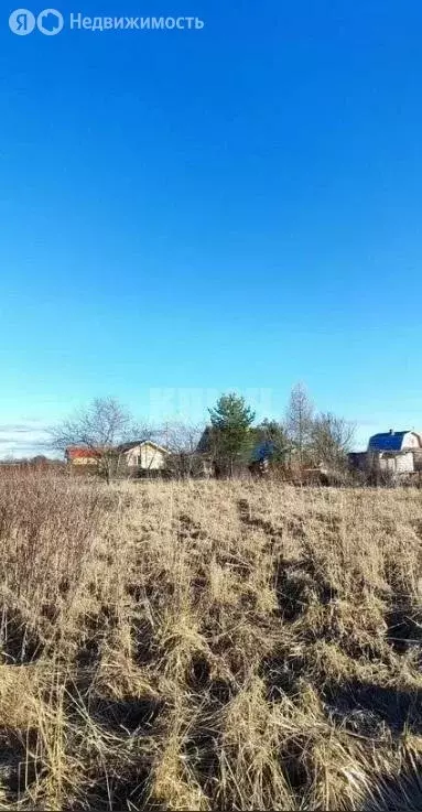 Участок в Вологодская область, Сокольский муниципальный округ, ... - Фото 1
