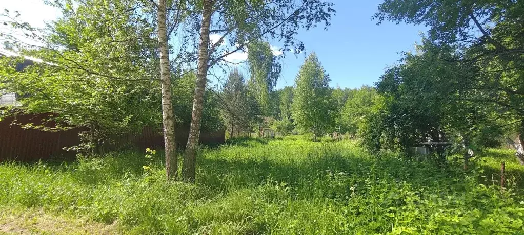 Участок в Тверская область, Конаковский муниципальный округ, Козлово ... - Фото 2