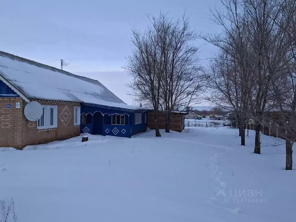 Дом в Оренбургская область, Переволоцкий район, с. Кичкасс  (120 м) - Фото 2