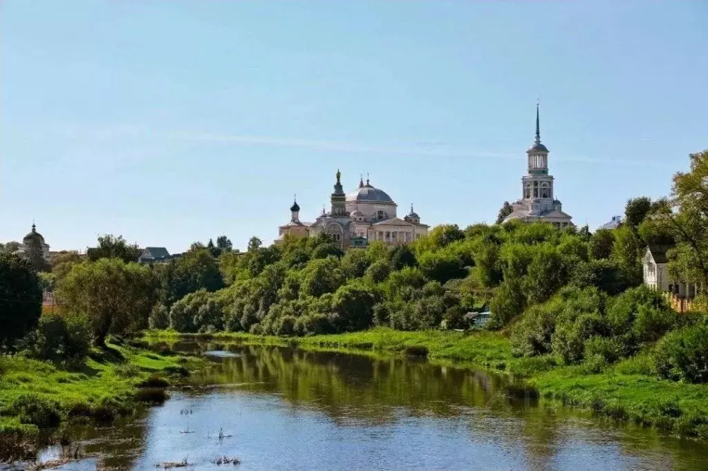 3-к кв. Тверская область, Торжок Красноармейская ул., 39 (52.1 м) - Фото 1