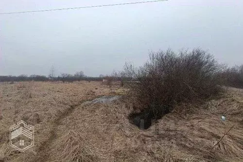 Участок в Новгородская область, Новгородский район, Борковское с/пос, ... - Фото 1