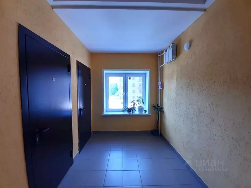 2-к кв. Ярославская область, Ярославский муниципальный округ, ... - Фото 2