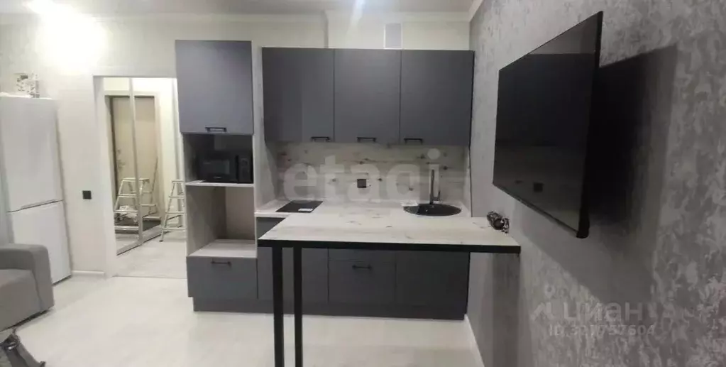 Студия Тюменская область, Тюменский муниципальный округ, д. Патрушева ... - Фото 2