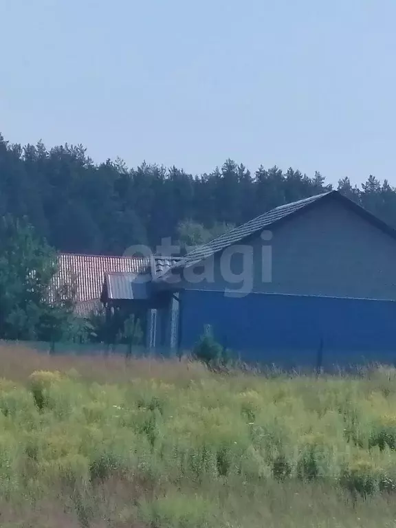 Участок в Брянская область, Брянский район, Новодарковичское с/пос, д. ... - Фото 2