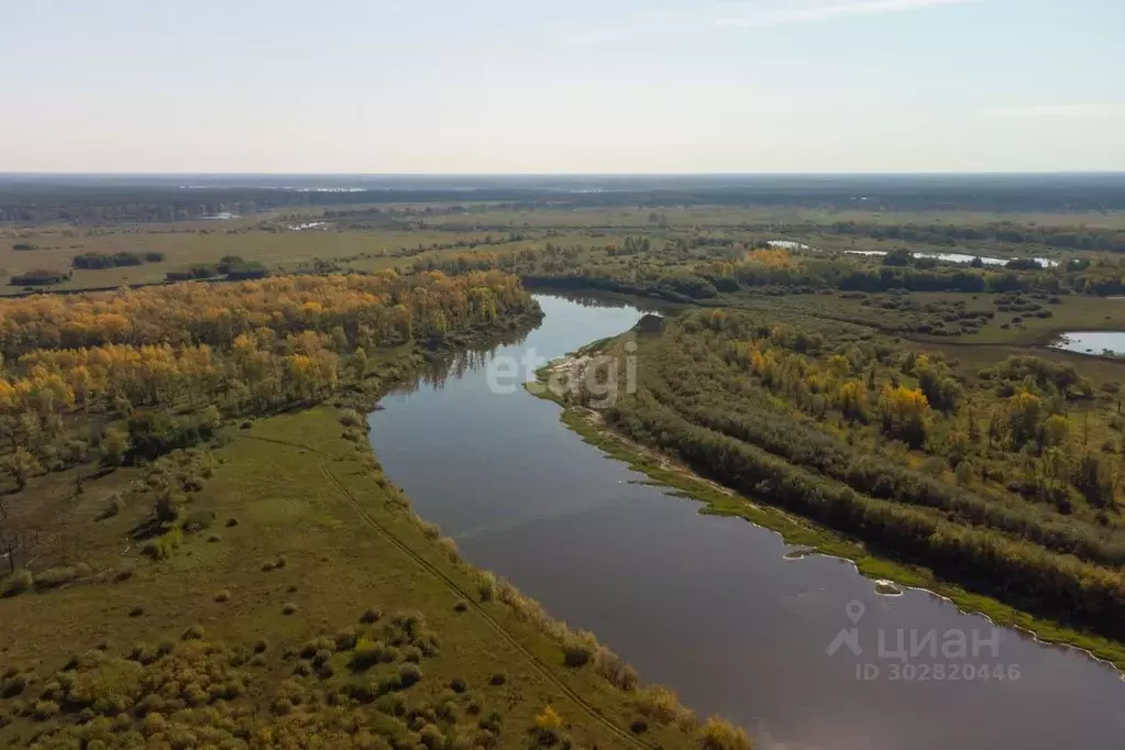 Участок в Тюменская область, Тюменский район, с. Борки  (65.0 сот.) - Фото 1