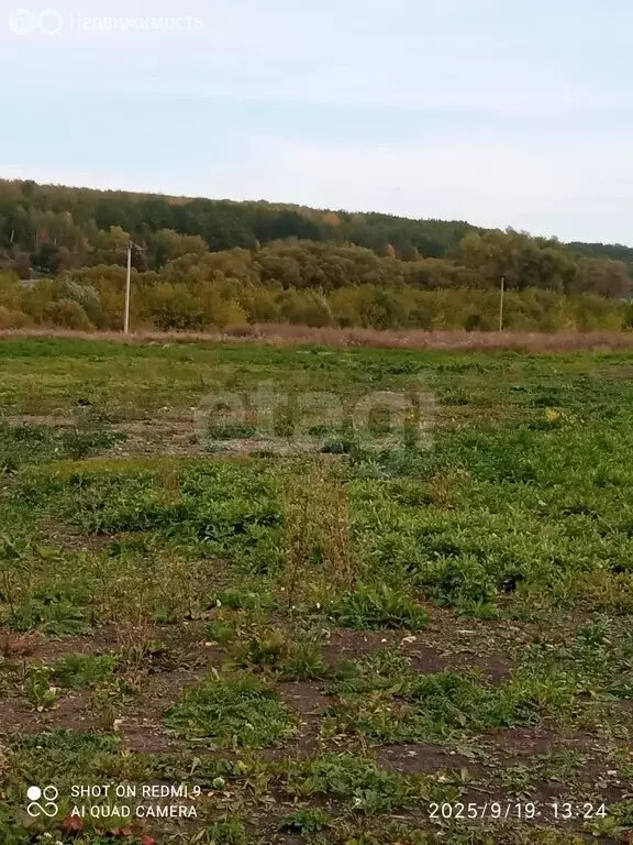 Участок в Николаевка, Мирная улица (75 м) - Фото 1