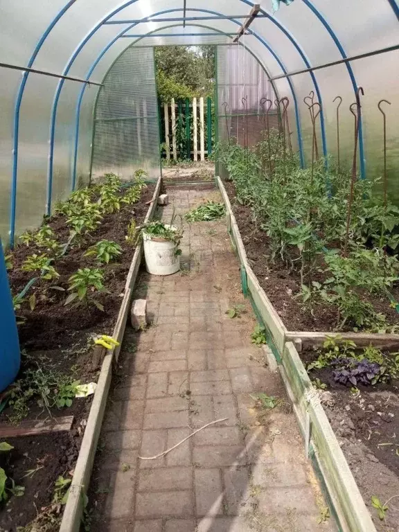 Дом в Челябинская область, Сосновский муниципальный округ, с. ... - Фото 2