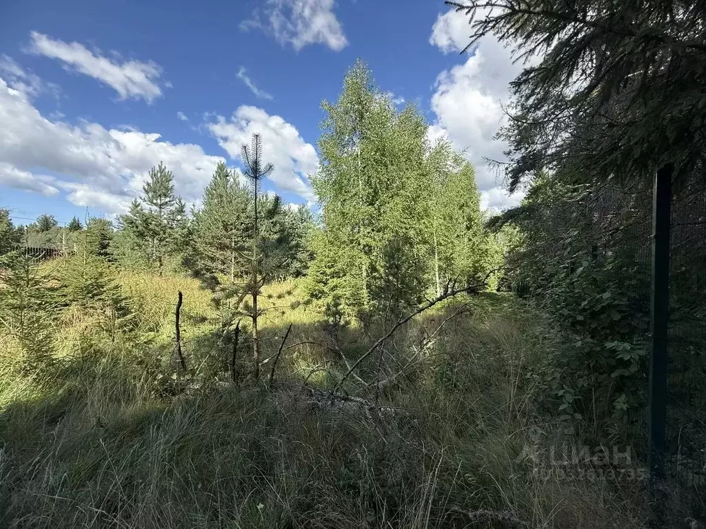 Участок в Ленинградская область, Выборгский район, Полянское с/пос, ... - Фото 2