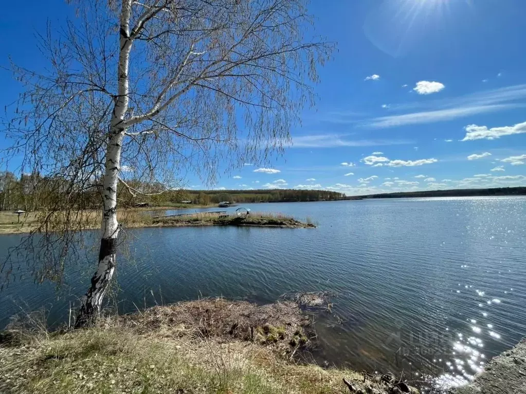 Участок в Нижегородская область, Богородский муниципальный округ, с. ... - Фото 1