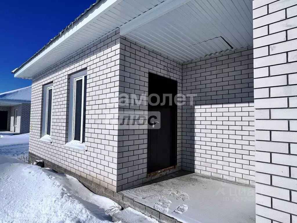 Дом в Алтайский край, Барнаул городской округ, пос. Черницк ул. ... - Фото 1