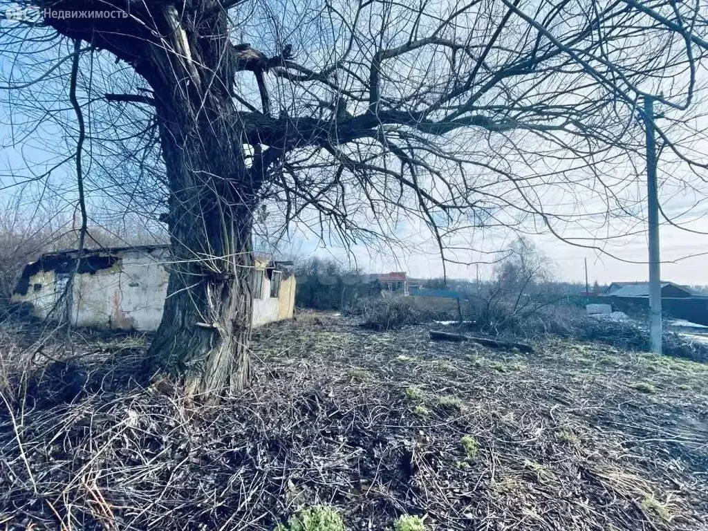 Участок в деревня Щербаково, Полевая улица (40 м) - Фото 1