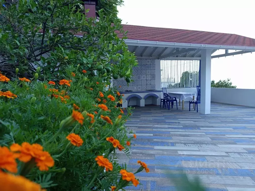 Комната Краснодарский край, Сочи Ландыш садовое товарищество, 86 - Фото 1