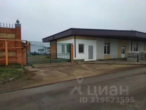 Помещение свободного назначения в Краснодарский край, Ейск Киевская ... - Фото 1