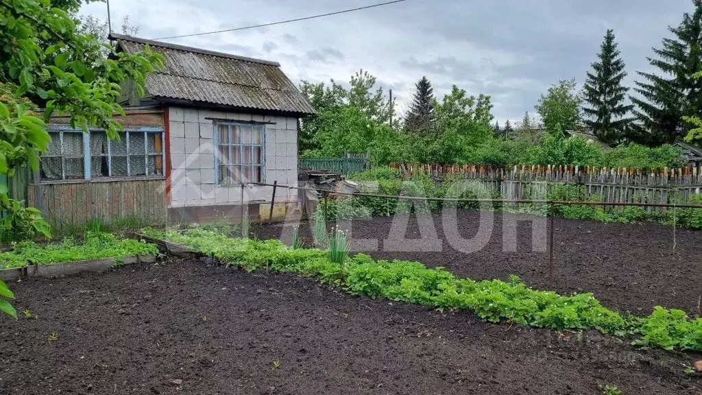 Дом в Омская область, Омск Текстильщик-1 СНТ,  (10 м) - Фото 0