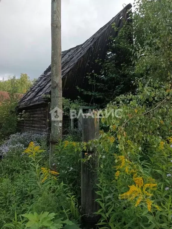 Дом в Владимирская область, Гусь-Хрустальный район, Мезиновский ... - Фото 1