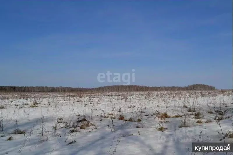 Участок в Иркутская область, с. Оса ул. Березовая (15.0 сот.) - Фото 0