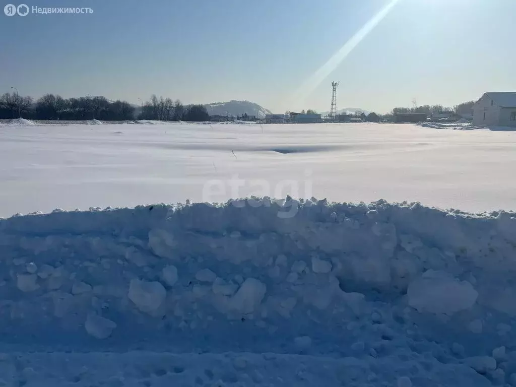 Участок в Майминский район, село Майма (8 м) - Фото 1