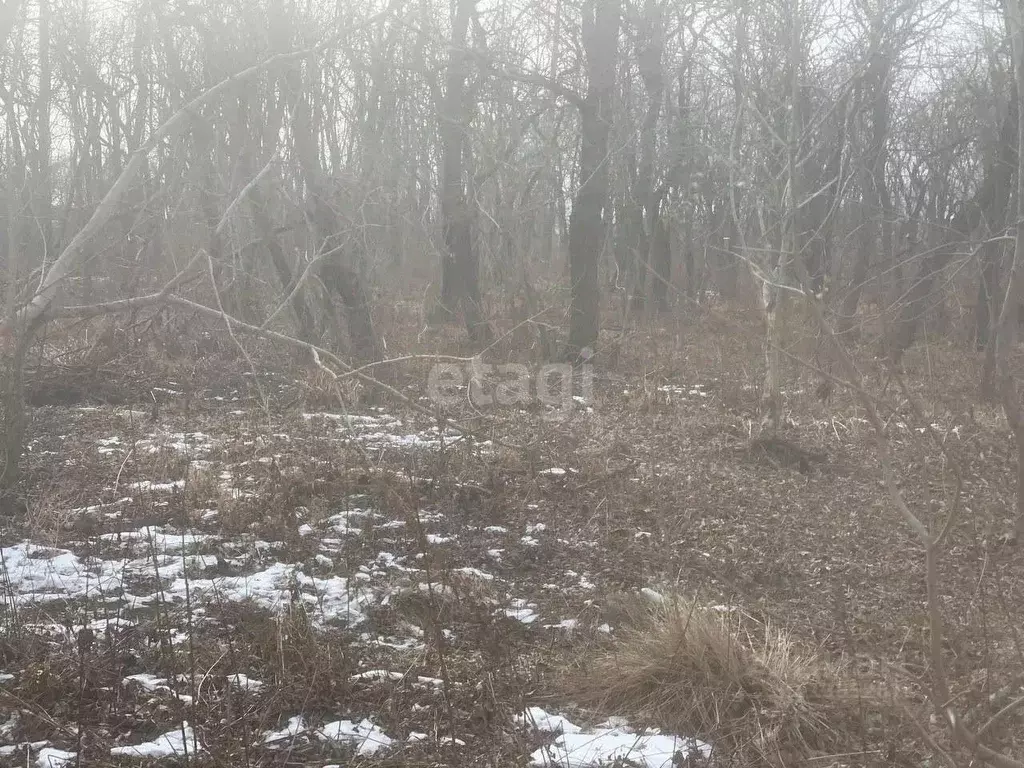 Участок в Приморский край, Владивостокский городской округ, с. ... - Фото 1