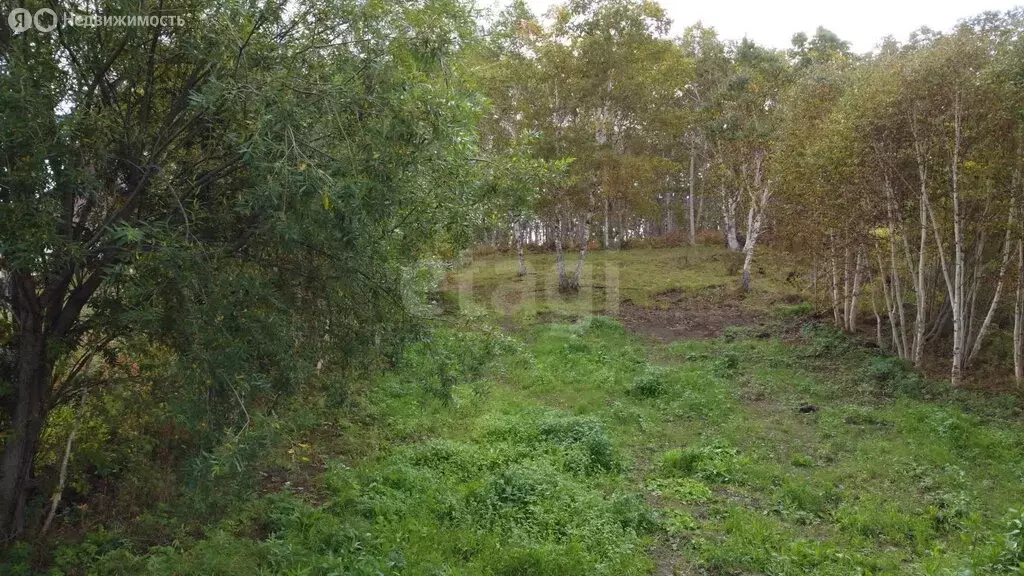 Участок в Камчатский край, Елизовский муниципальный округ, СНТ Солодок ... - Фото 2