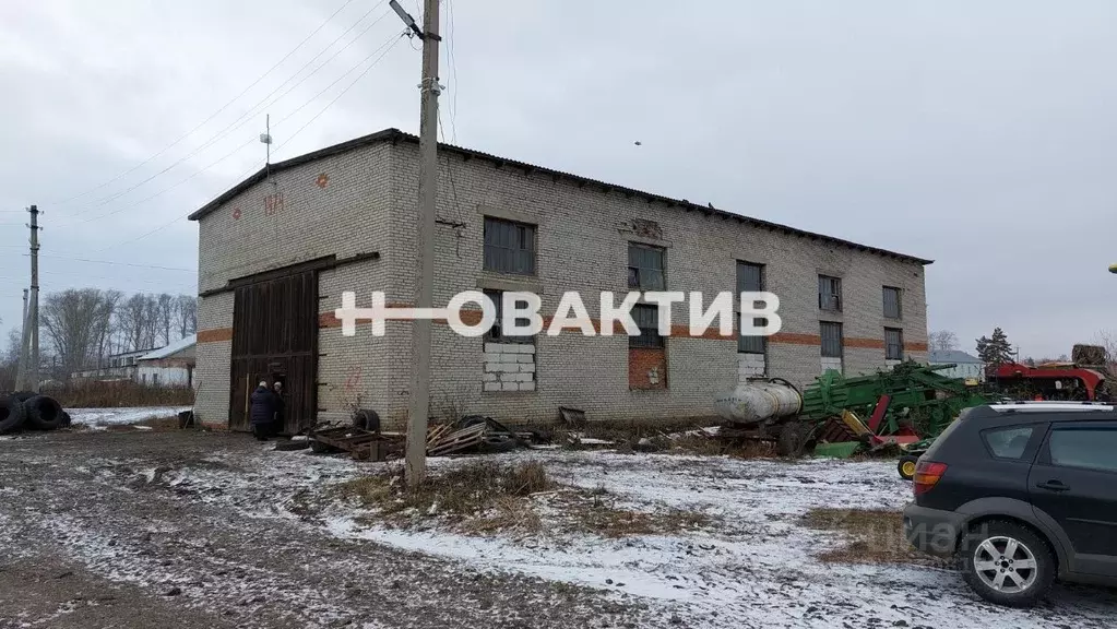 Производственное помещение в Новосибирская область, Коченевский район, ... - Фото 1