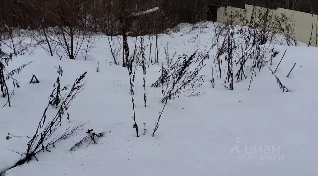 Участок в Московская область, Пушкинский городской округ, д. Артемово  ... - Фото 1