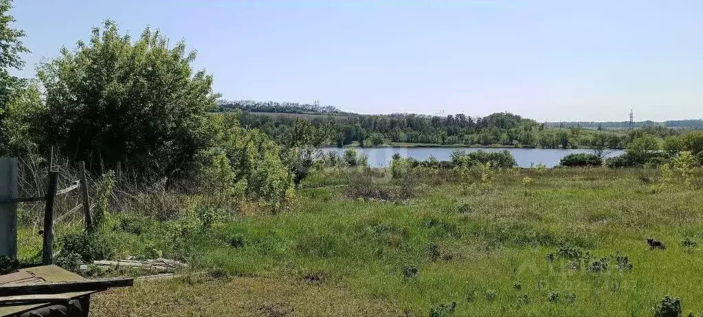 дом в белгородская область, волоконовский район, с. покровка (52 м) - Фото 0