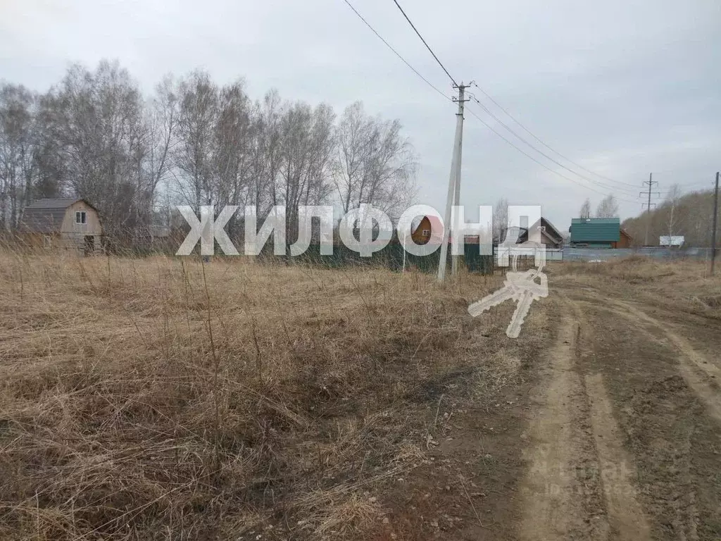 Участок в Новосибирская область, Новосибирский район, Морской ... - Фото 1