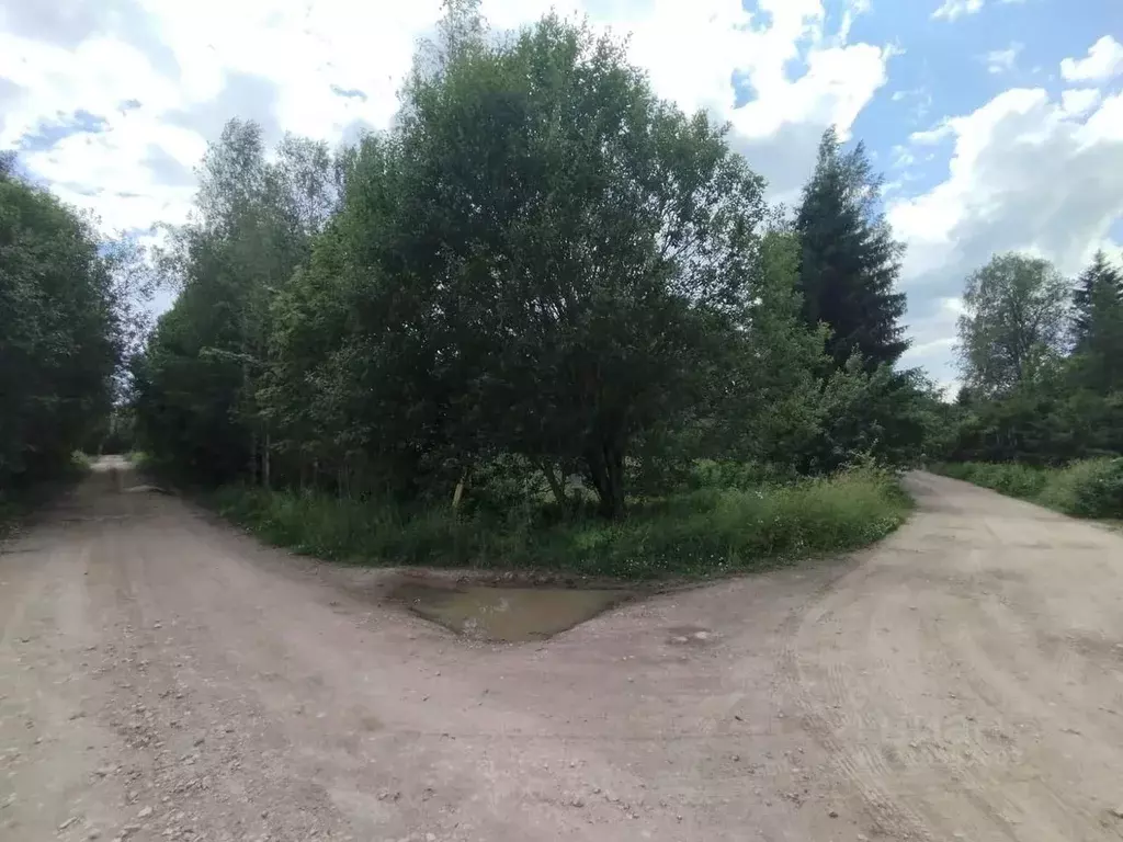 Участок в Ленинградская область, Волосовский район, Бегуницкое с/пос, ... - Фото 2