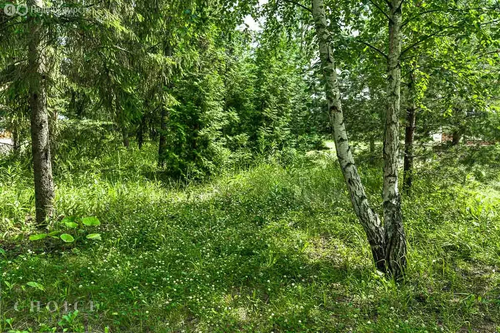 Участок в деревня Солослово, КП Заря (15 м) - Фото 2