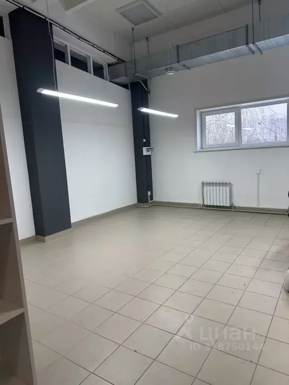 Офис в Кировская область, Киров ул. Щорса, 71 (31 м) - Фото 1