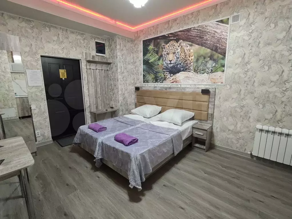 Квартира-студия, 25 м, 1/3 эт. - Фото 0