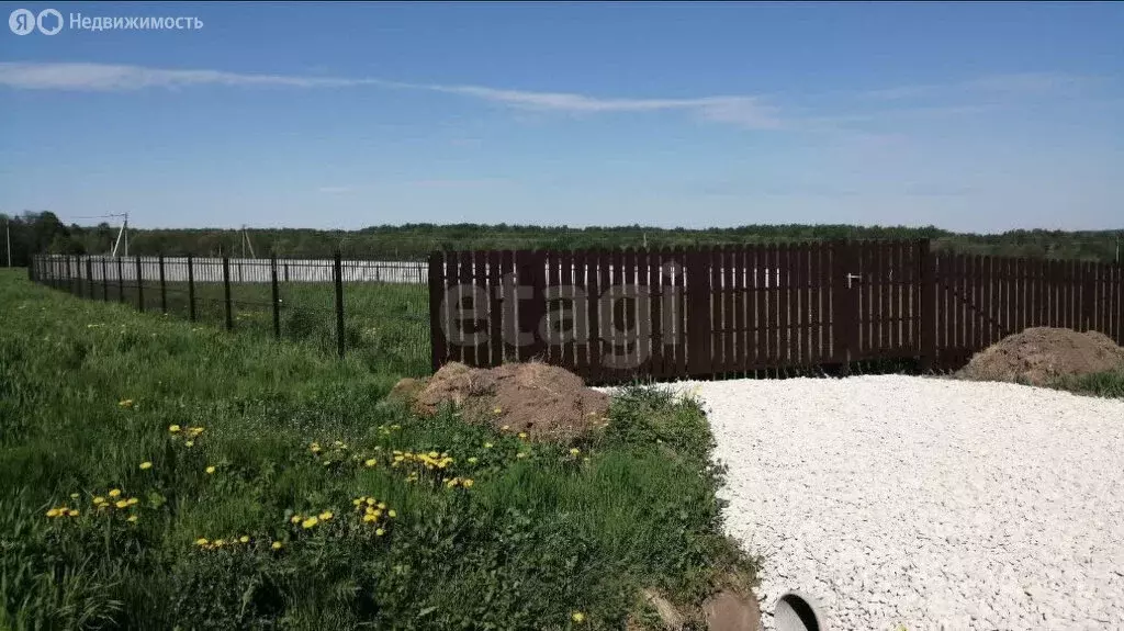 Участок в Заокский район, сельское поселение Демидовское, деревня ... - Фото 2