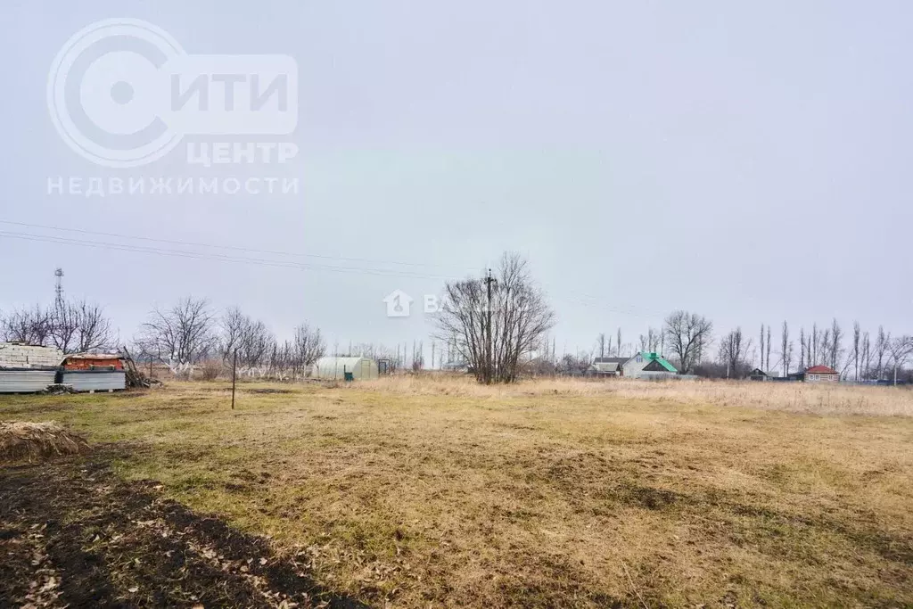 Участок в Воронежская область, Рамонский район, Новоживотинновское ... - Фото 0