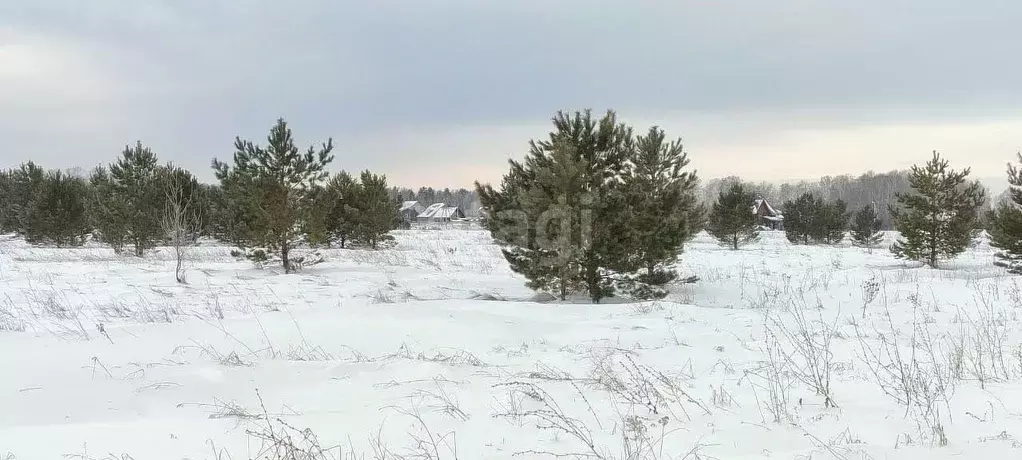 Участок в Алтайский край, Барнаул ул. Пушкина, 71 (8.1 сот.) - Фото 0