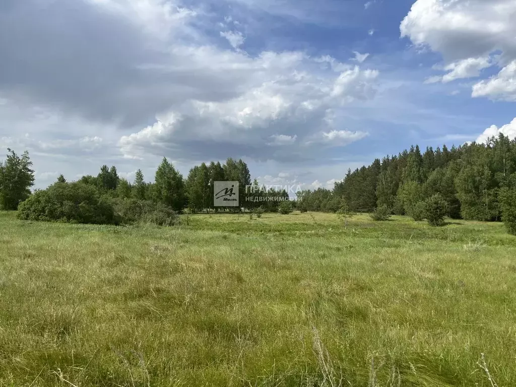 Участок в Липецкая область, Добровский муниципальный округ, с. ... - Фото 0