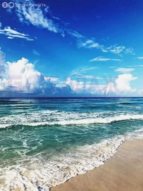 Участок в Приморский, дачное товарищество Отдых, Цветочная улица (8 м) - Фото 1