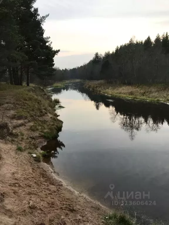 Участок в Ярославская область, Переславль-Залесский муниципальный ... - Фото 1