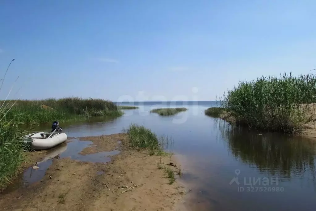 Участок в Псковская область, Печорский муниципальный округ, д. Моложва ... - Фото 2